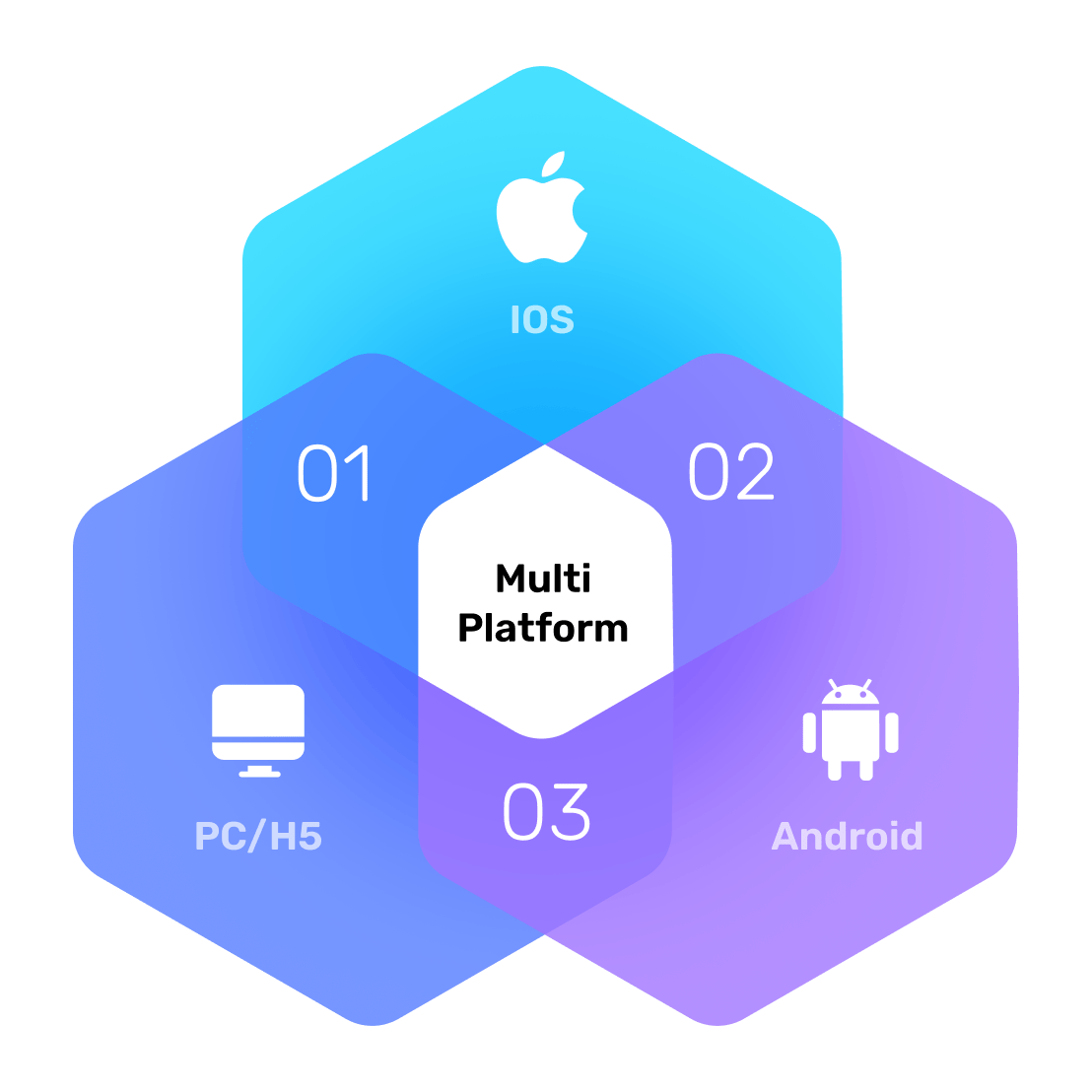 Multi-Platform Compatibility